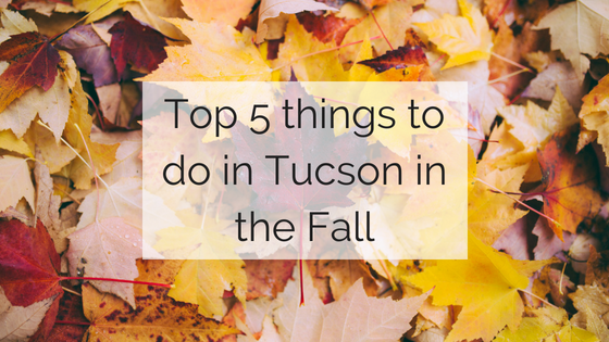 Tucson Moving Service brings you the top 5 things to do in Tucson in the fall.