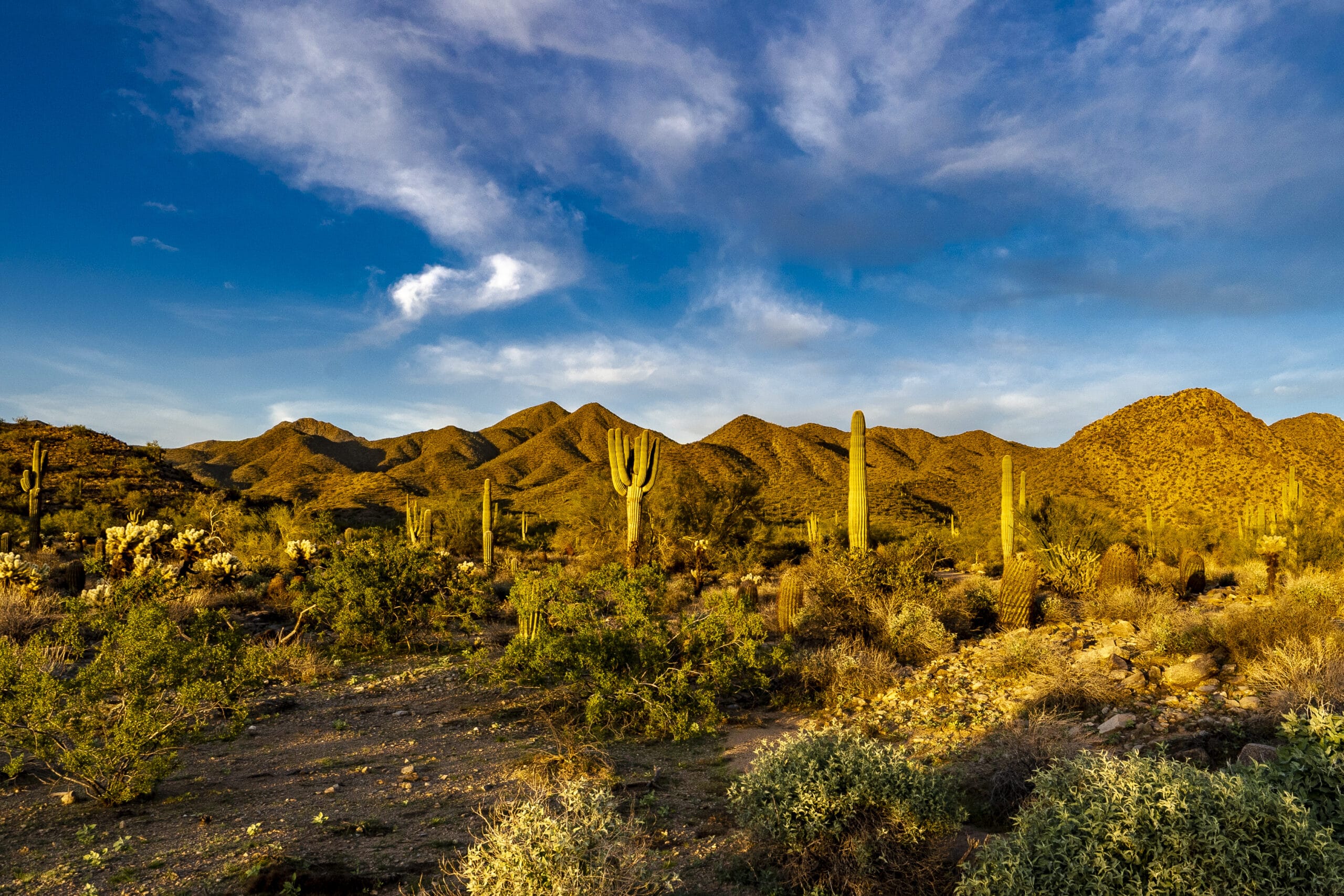 tucson moving service